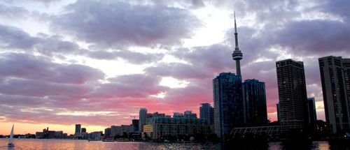 AiWood Digital - Toronto