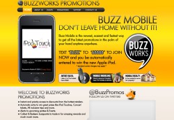Buzz Works